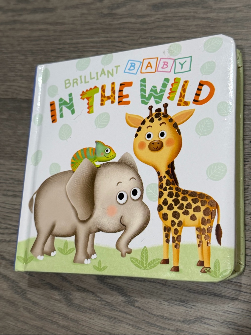 Little Hippo Books Brilliant Baby: In the Wild Board Book Eva Rémišová 2022
